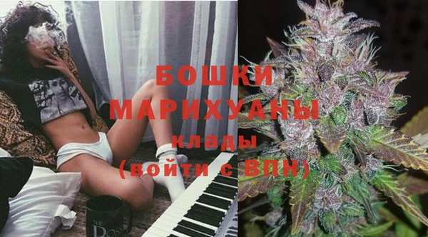 метадон Няндома