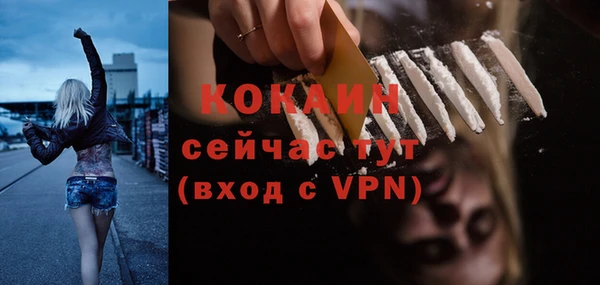 метадон Няндома