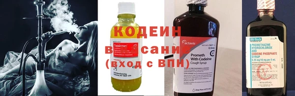 метадон Няндома