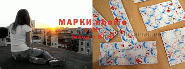 индика Краснослободск