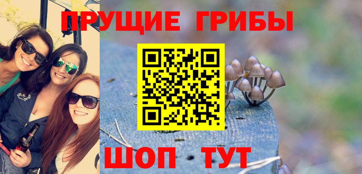 Переславль-Залесский  Галлюциногенные грибы Psilocybe  Вход с VPN 